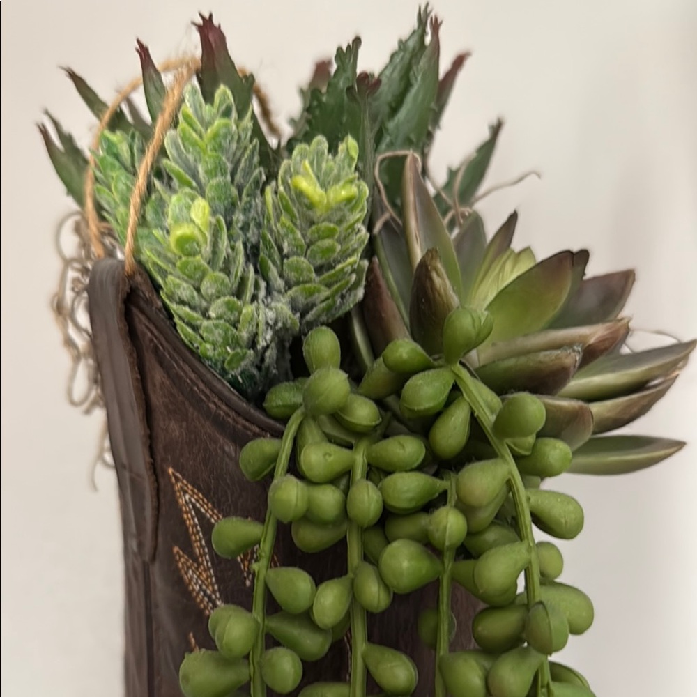 Rustic Authentic Brown Boot Planter with Green Succulents; Homemade by me! - Picture 2 of 6